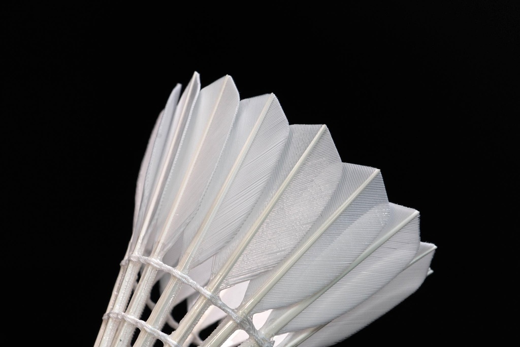 Ling Mei Badminton Shuttlecock